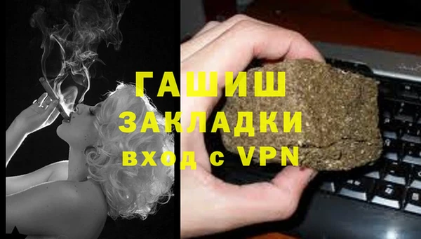 индика Белокуриха